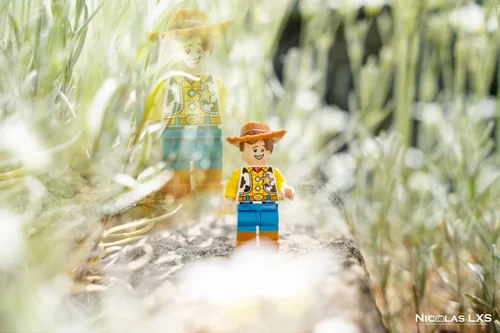 Double exposition : figurine LEGO de Woody dans des herbes sauvages