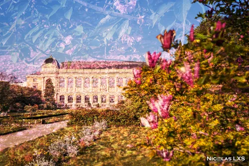 Double exposition : façade d'un grand bâtiment et massif de fleurs roses