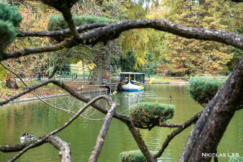 Bassin du Jardin public de Bordeaux vu à travers les branches