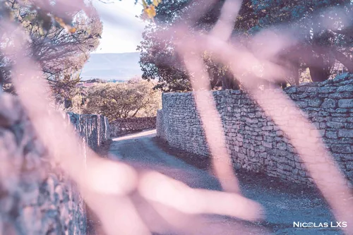 Ruelle bordée de murets en pierre sèche à Gordes, vue à travers des branches